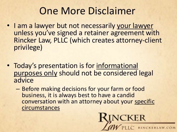 Rincker Law SlideShare presentation: Professional liability disclaimer